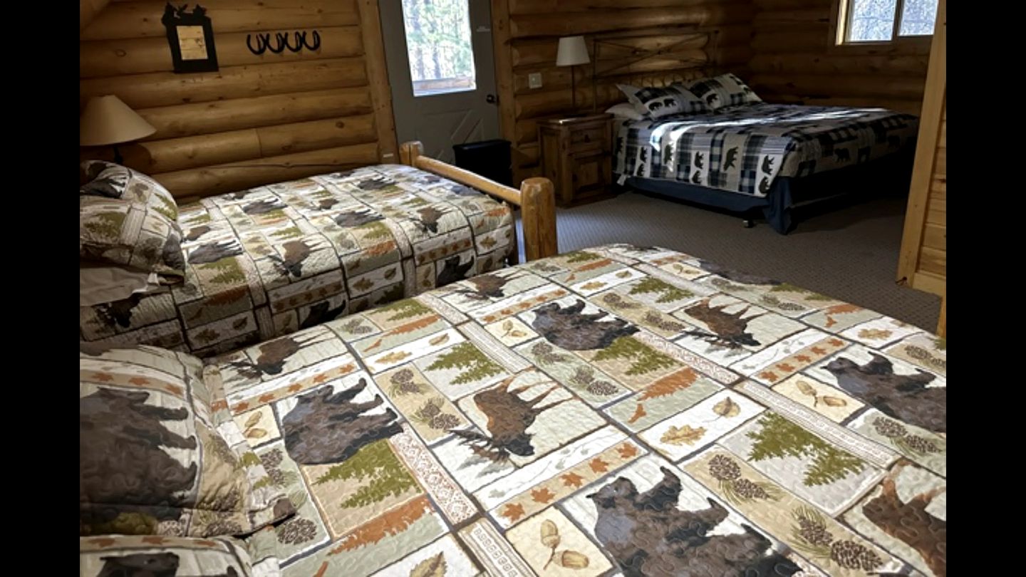 Outstanding Cabin with Hot-tub in Island Park, Idaho