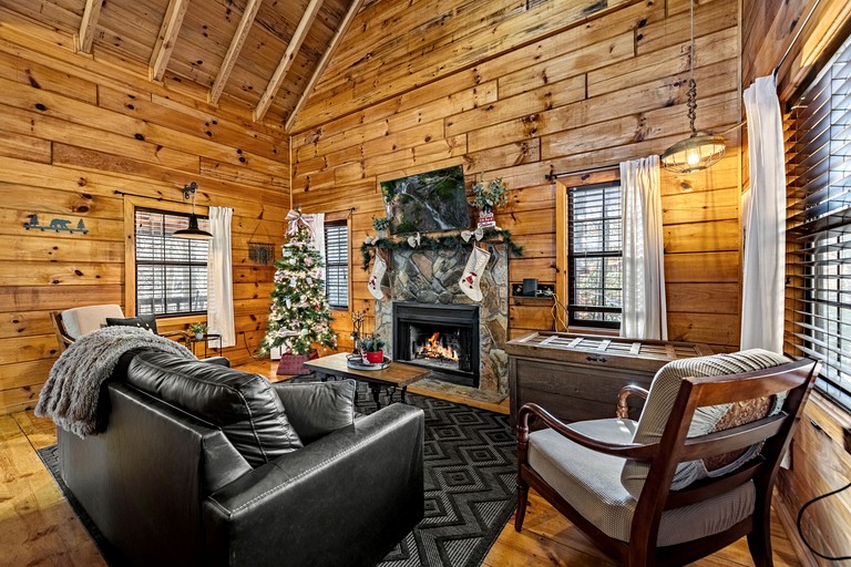 Cabins (United States of America, Blue Ridge, Georgia)