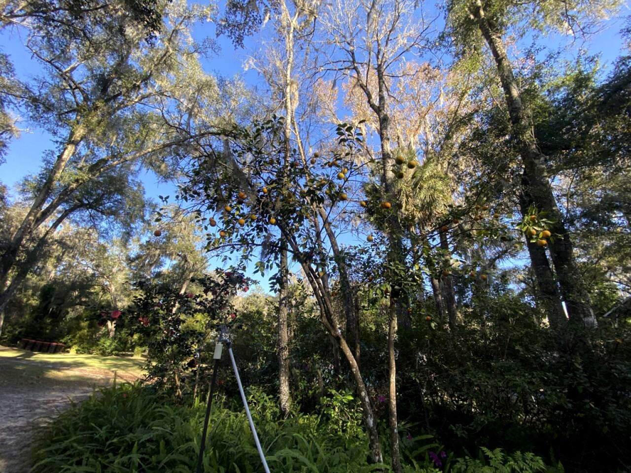 Outstanding Cottage with Barbecue and Fire Pit in Dunnellon, Florida