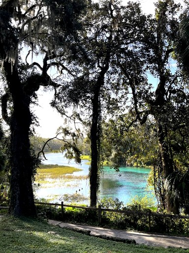 Cottages (United States of America, Dunnellon, Florida)