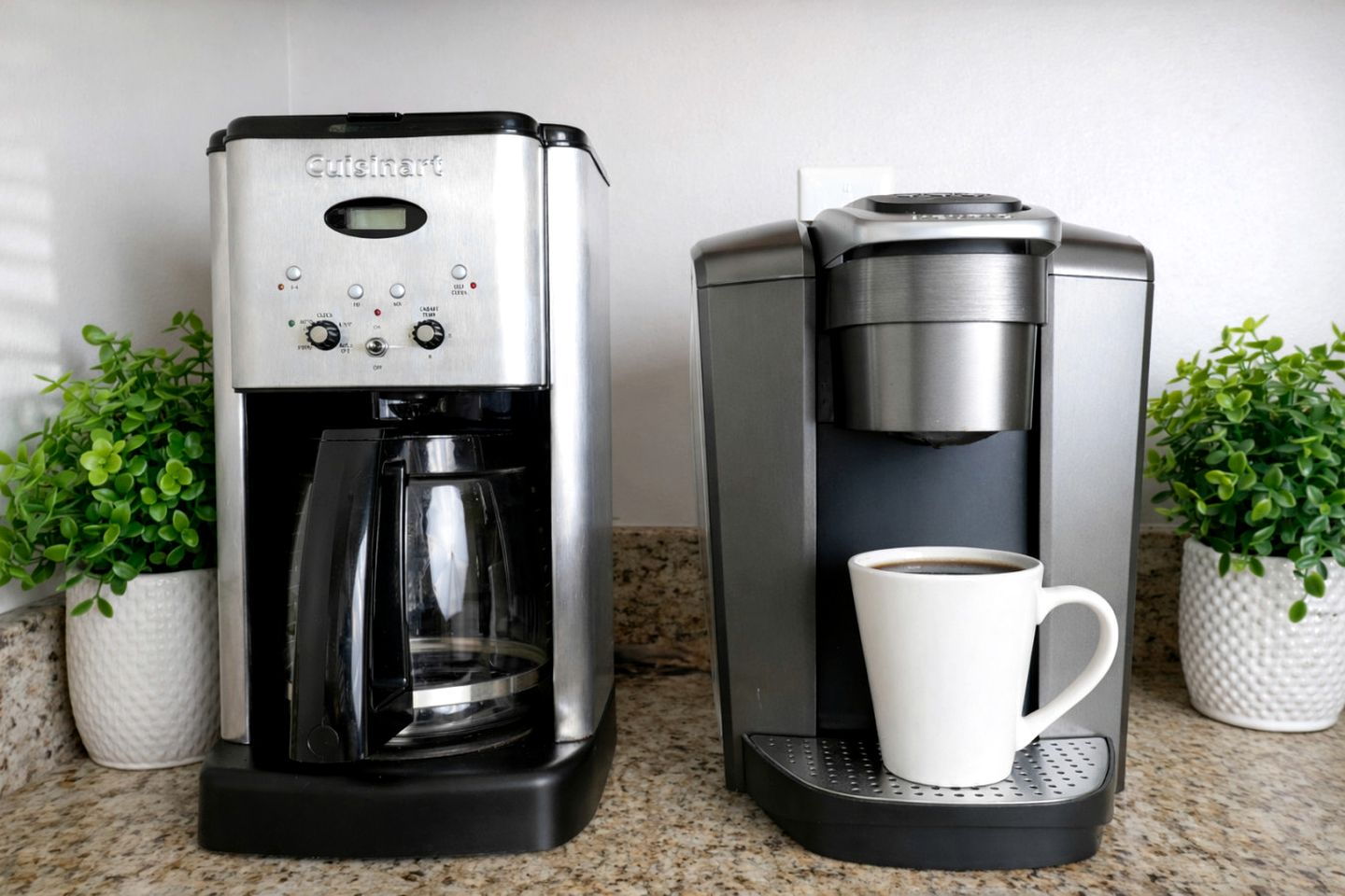 Suburban Sanctuary in Charlotte, North Carolina