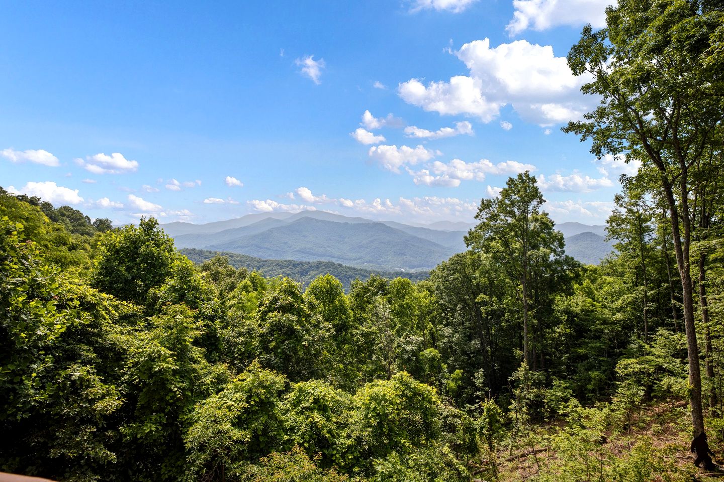 Outstanding Family Cabin with Spectacular Views, Hot-Tub, Deck and Fire Pit in NC