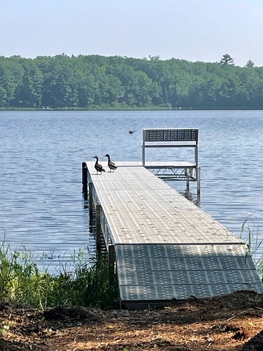Cabins (United States of America, Stone Lake, Wisconsin)