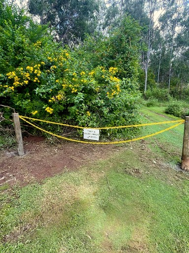 Tiny Houses (Australia, Perwillowen, Queensland)