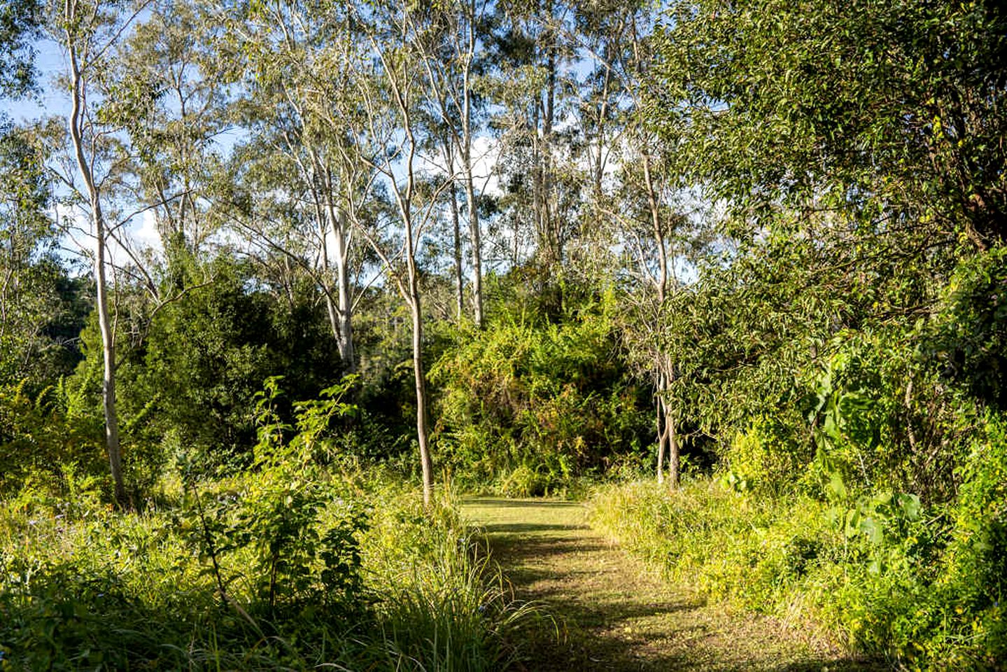 Outstanding Tiny House with Fire Pit in Perwillowen, Queensland
