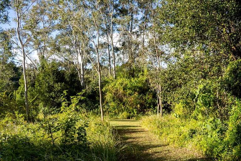 Tiny Houses (Australia, Perwillowen, Queensland)