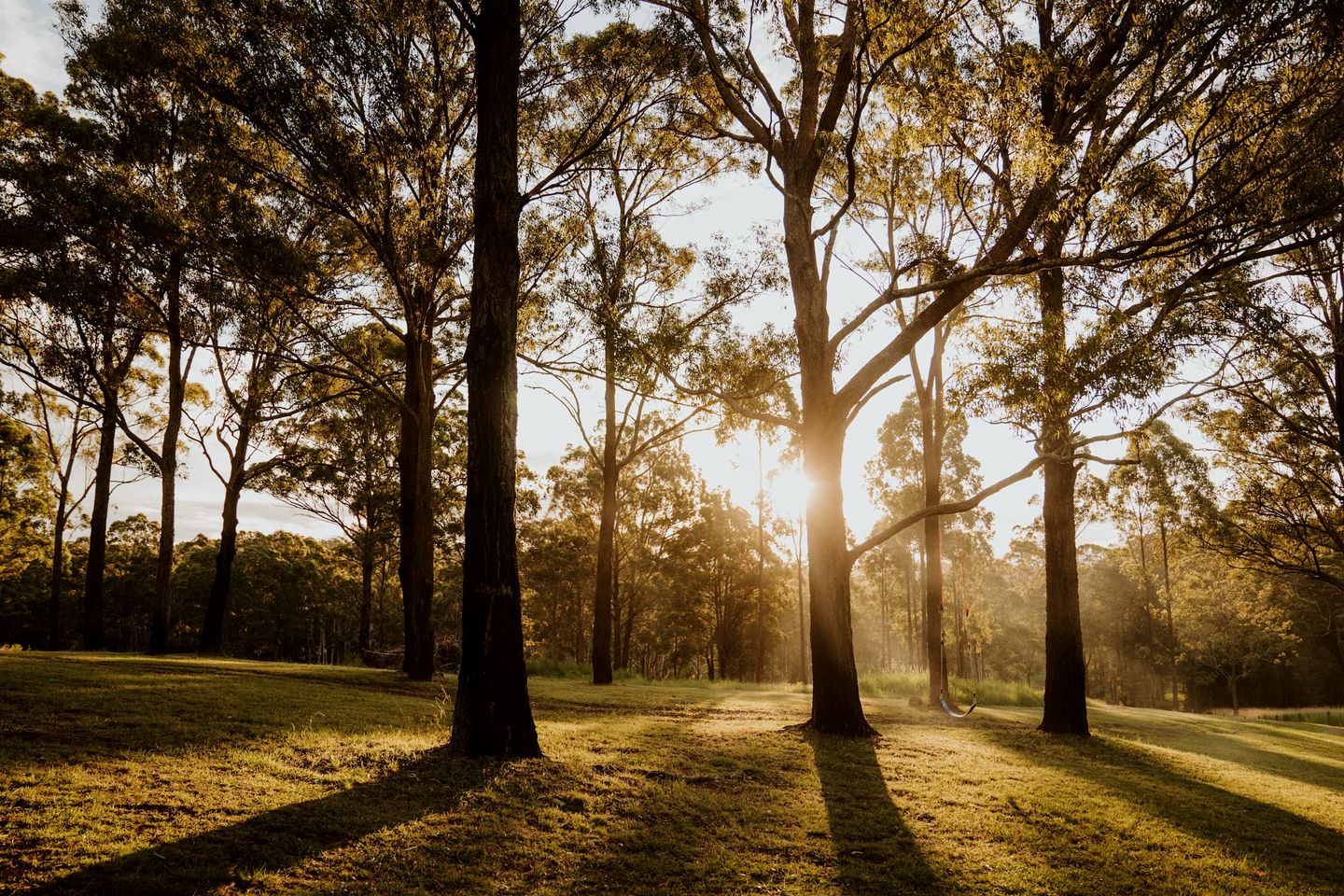 Outstanding Tiny House with Fire Pit in Possum Brush, New South Wales