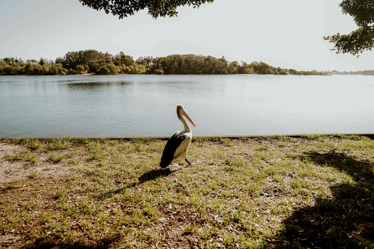 Tiny Houses (Australia, Possum Brush, New South Wales)