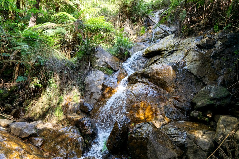 Tiny Houses (Australia, Warburton, Victoria)