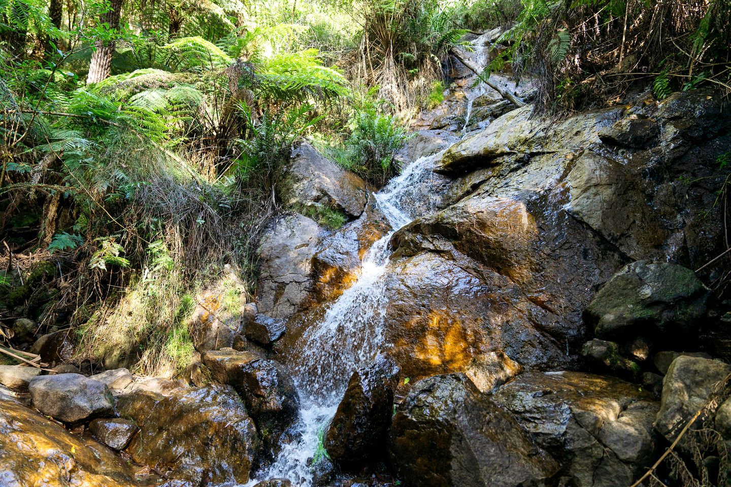 Outstanding Tiny House with Great Sights in Warburton, Victoria