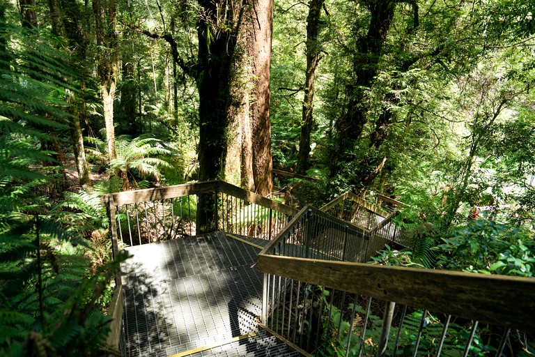 Tiny Houses (Australia, Warburton, Victoria)