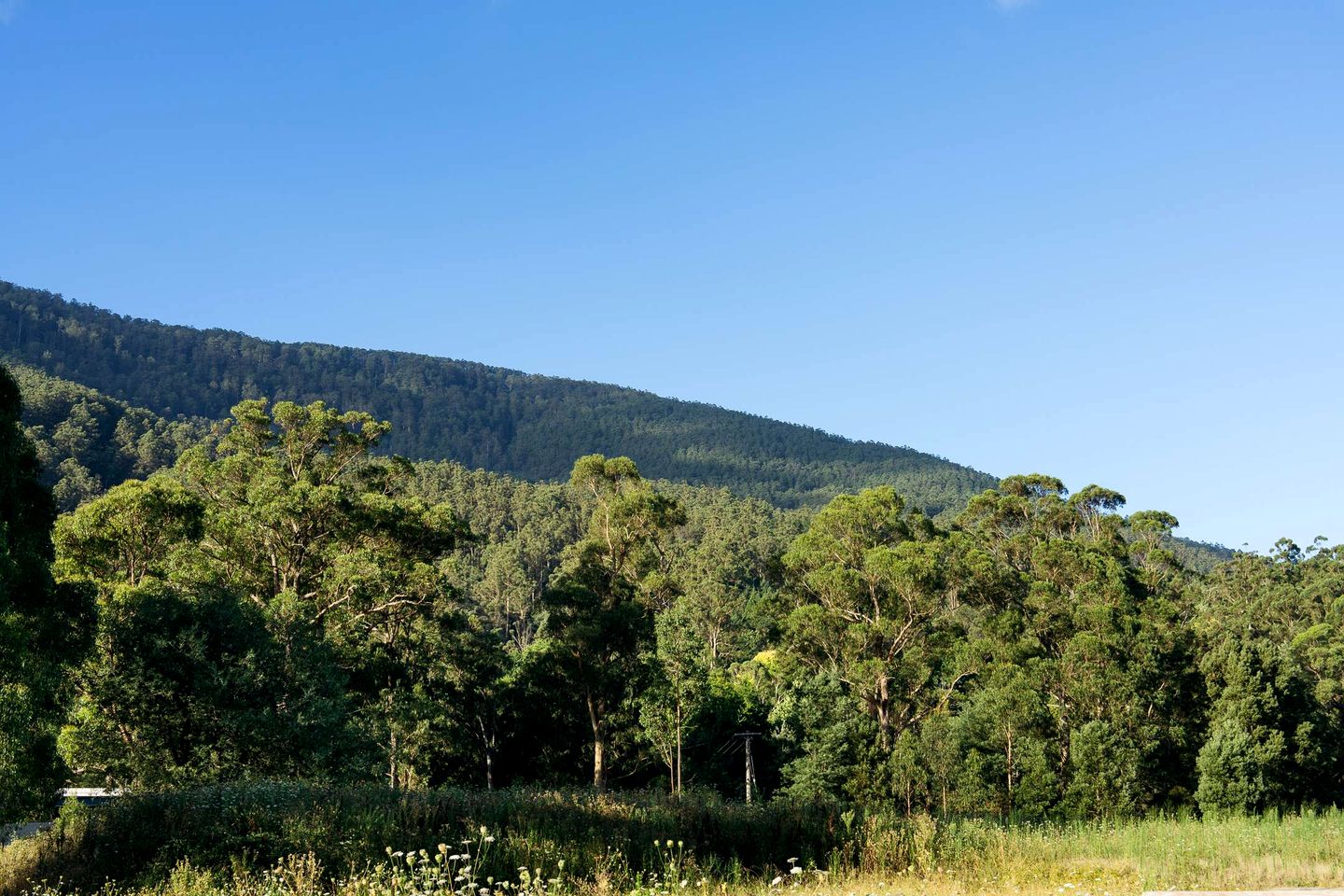 Outstanding Tiny House with Great Sights in Warburton, Victoria