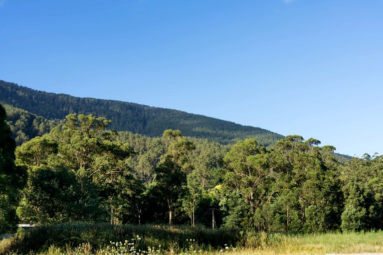Tiny Houses (Australia, Warburton, Victoria)