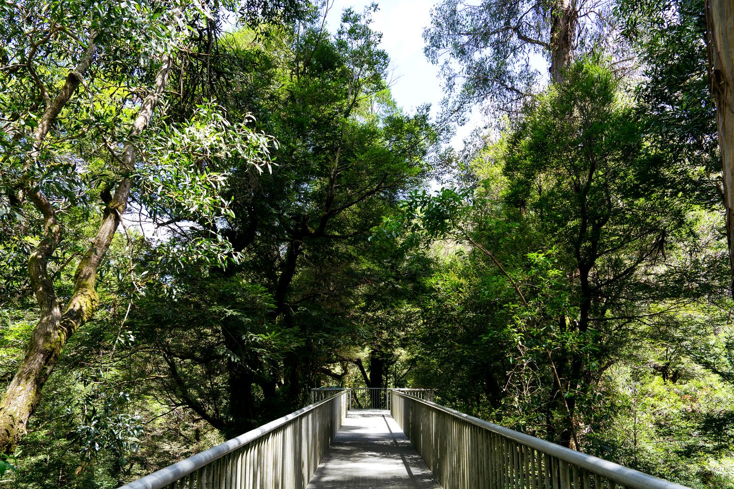 Outstanding Tiny House with Great Sights in Warburton, Victoria