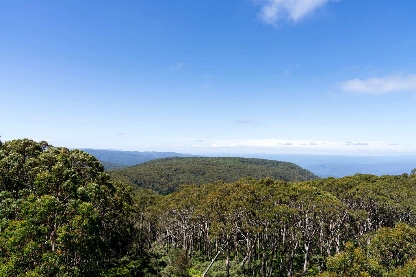 Outstanding Tiny House with Great Sights in Warburton, Victoria