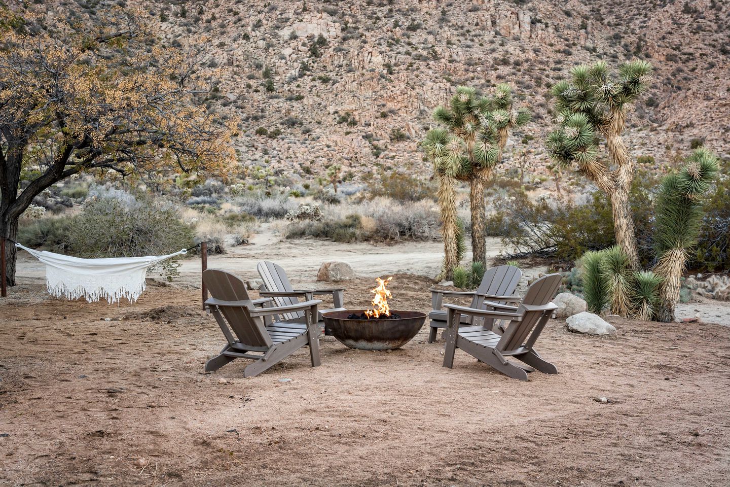 Elegant Vacation Rental with Swimming Pool and Barbecue in Joshua Tree, California