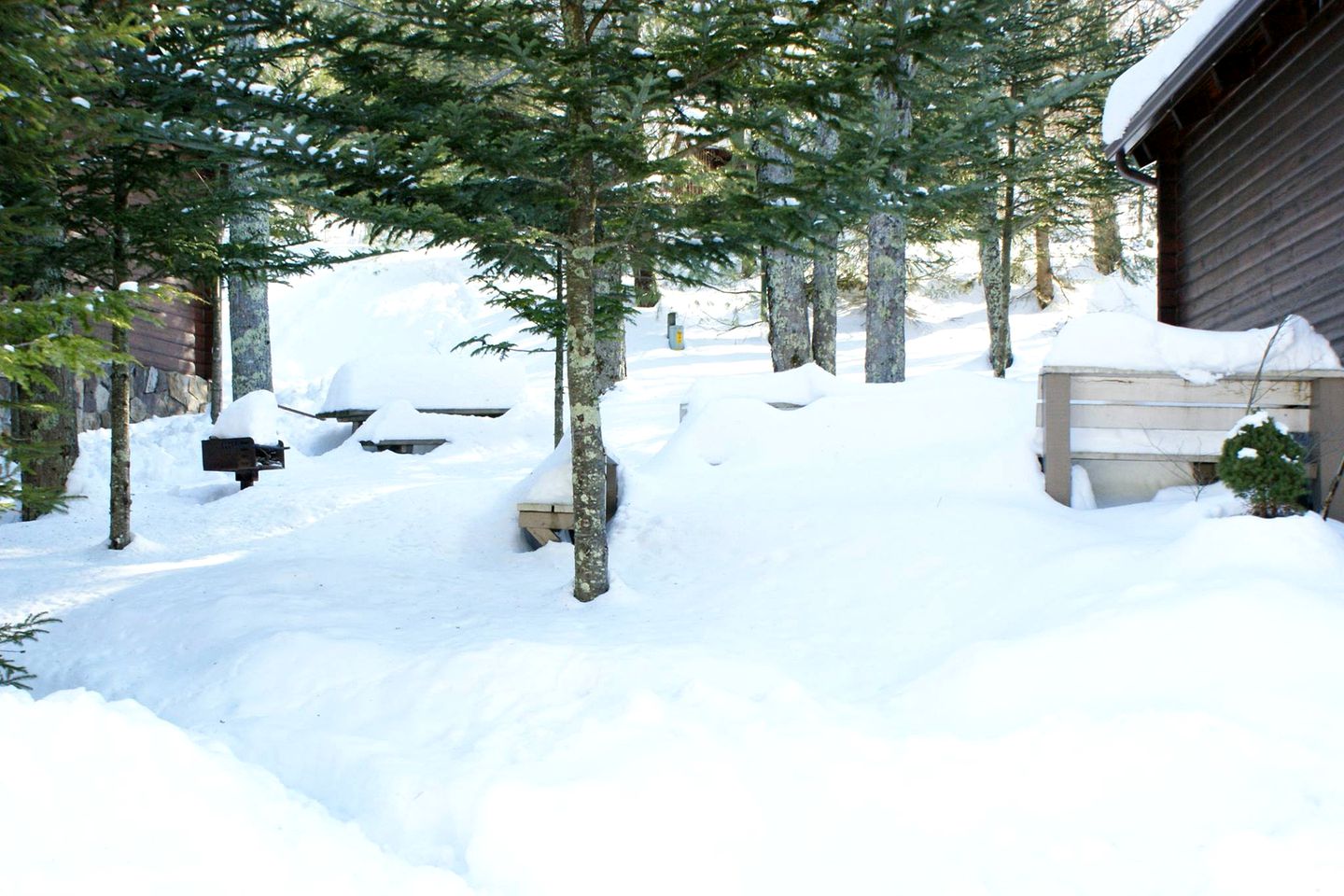 Rustic Cabin Rental near the Ski Slopes in Snowshoe, West Virginia