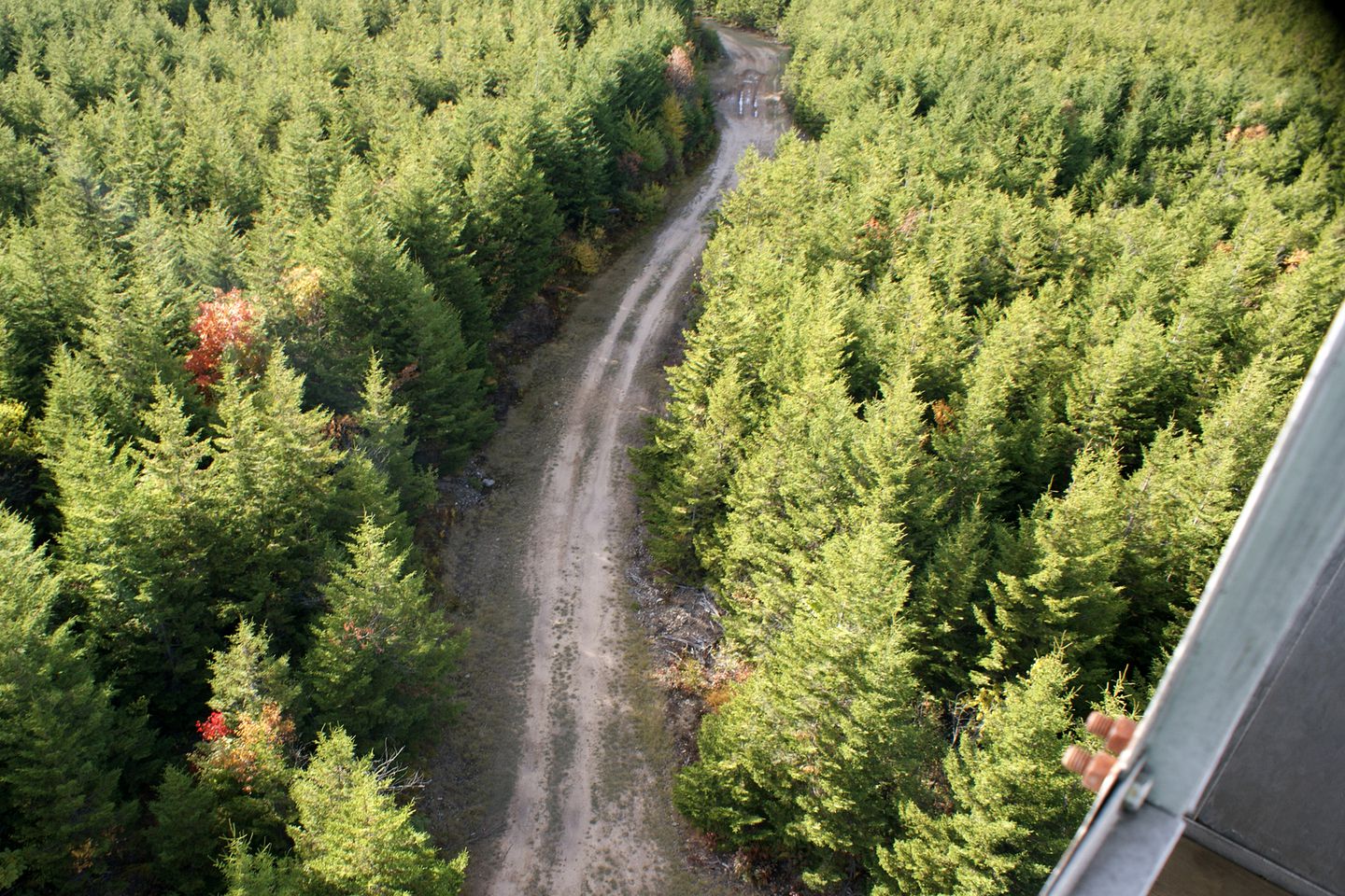 Rustic Cabin Rental near the Ski Slopes in Snowshoe, West Virginia