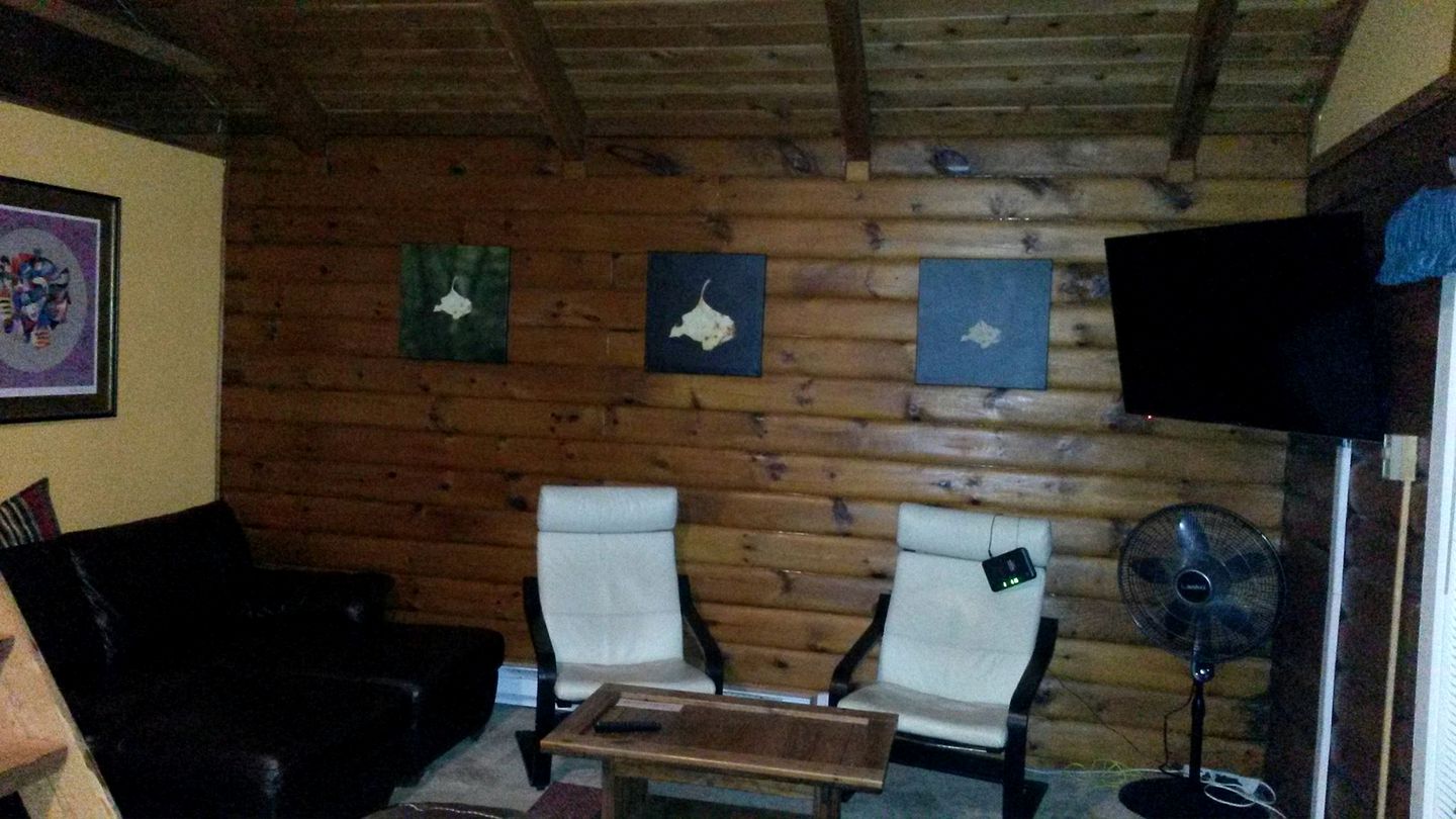 Overlook Village 26 Snowshoe Mtn, Cabins, Snowshoe, United States of