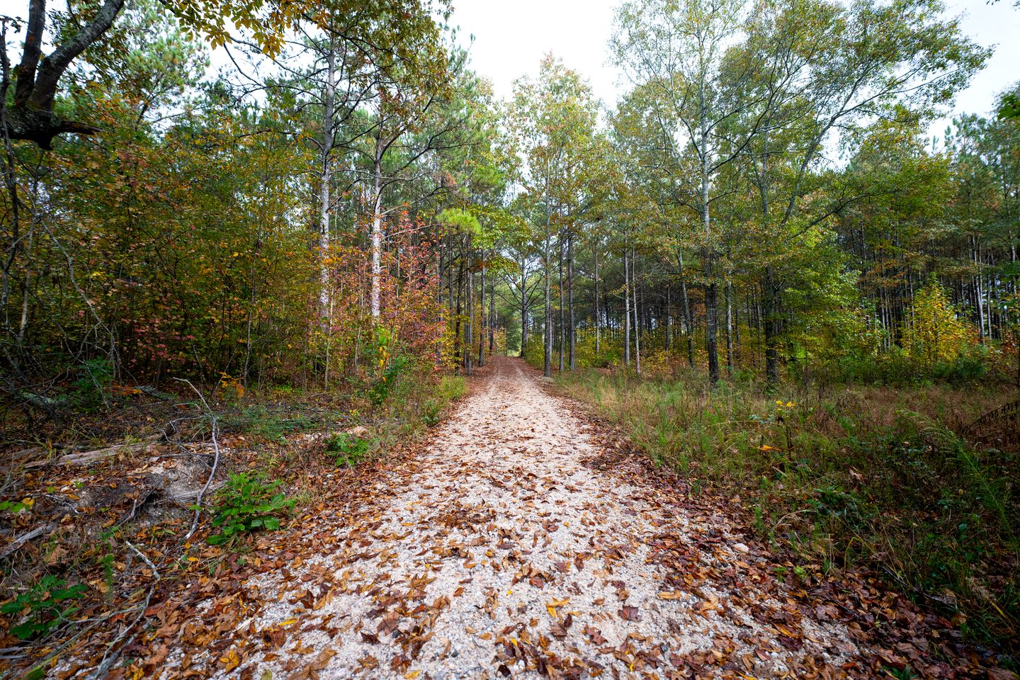 Relaxing Safari Tent with Hot Tub and Grill in Cedar Bluff, Alabama