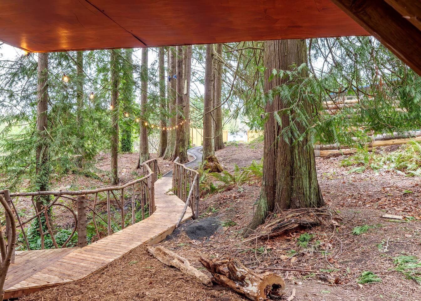 Relaxing Tree House in Sequim, Washington, Perfect for a Glamping Getaway to Olympic National Park