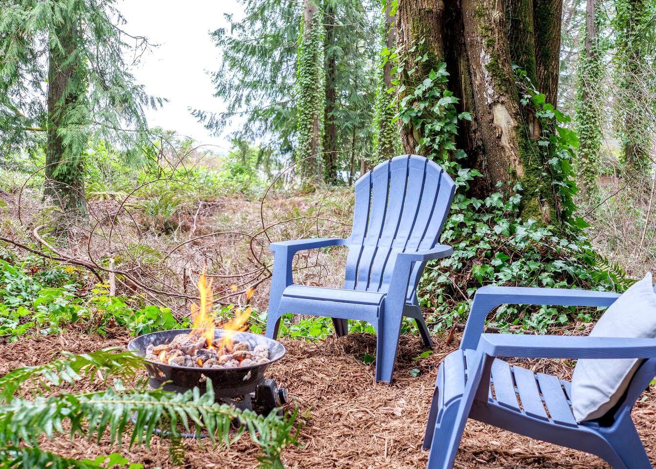 Relaxing Tree House in Sequim, Washington, Perfect for a Glamping Getaway to Olympic National Park