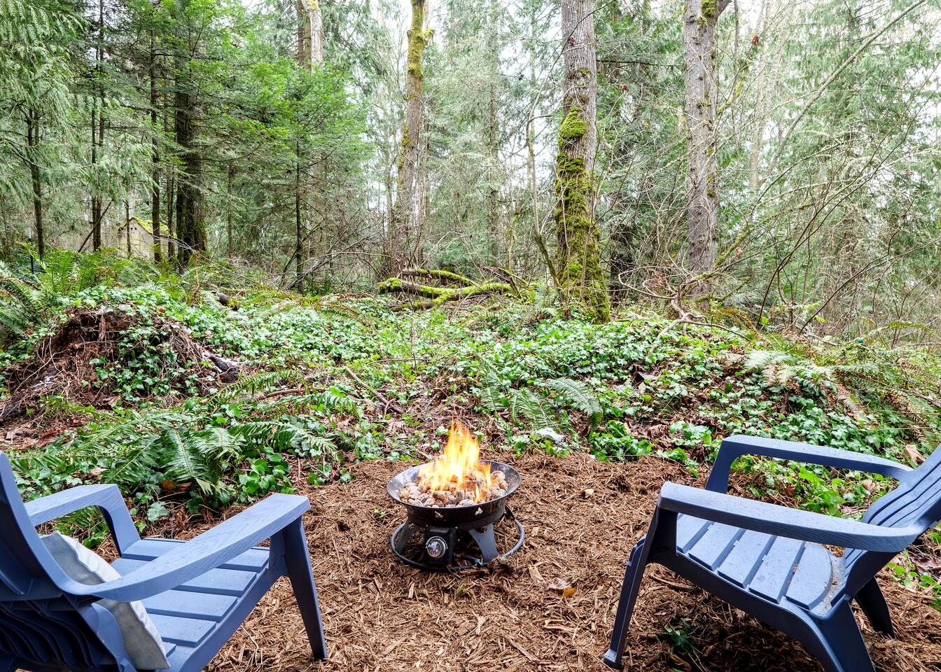 Relaxing Tree House in Sequim, Washington, Perfect for a Glamping Getaway to Olympic National Park
