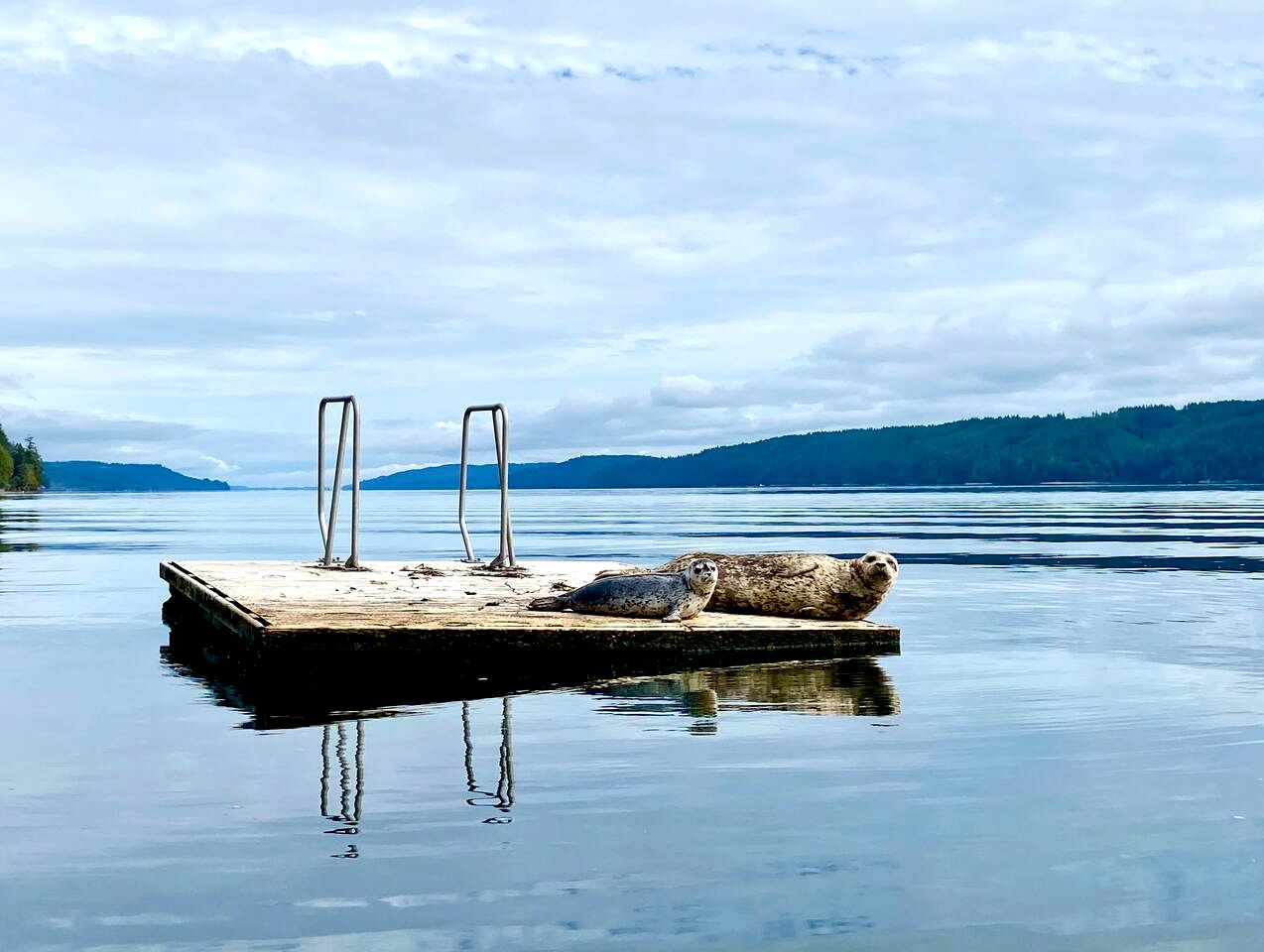 Gorgeous, Waterfront Beach Cottage on Oyster Bay with Easy Access to Olympic National Park
