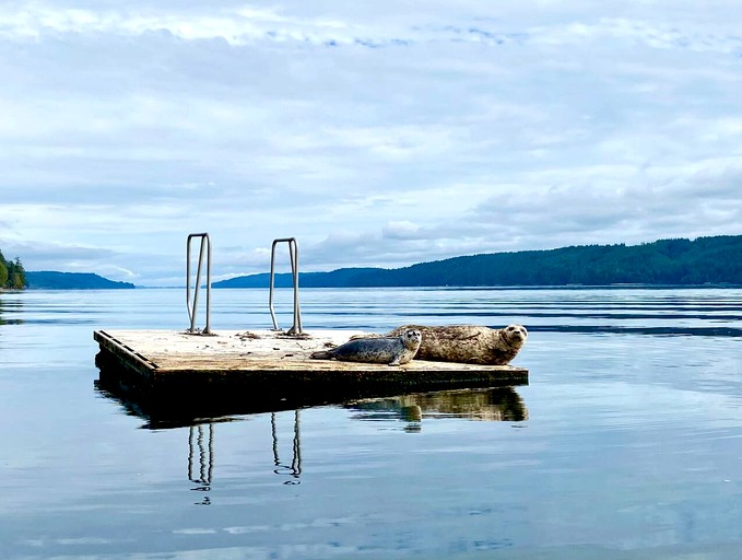 Vacation Rentals (United States of America, Hoodsport, Washington)