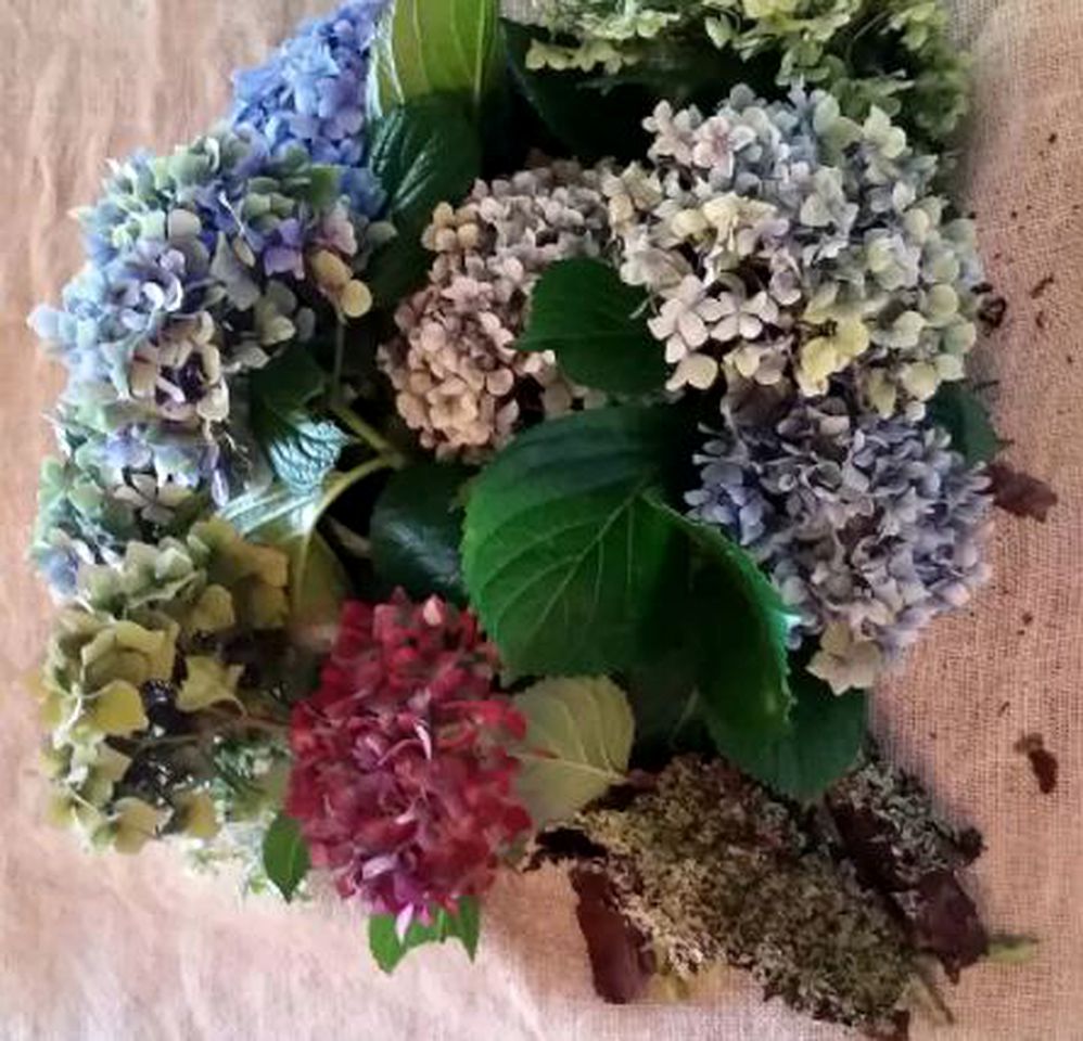 Peaceful Cottage for Two in Stunning Gardens near Cathedral Cove, North Island