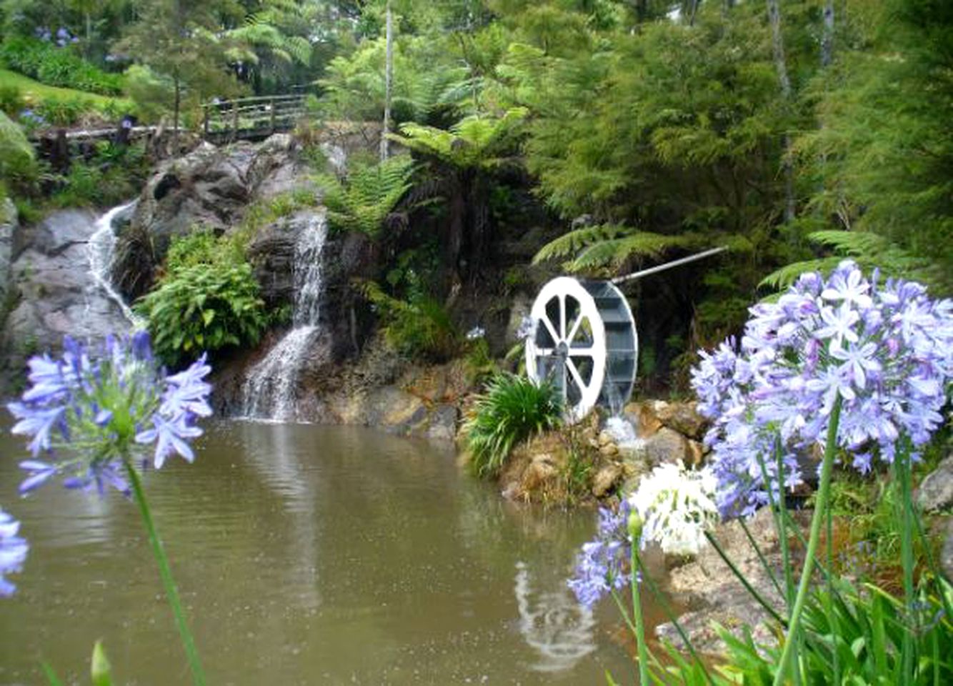Peaceful Cottage for Two in Stunning Gardens near Cathedral Cove, North Island