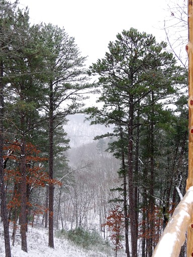 Yurts (Eureka Springs, Arkansas, United States)