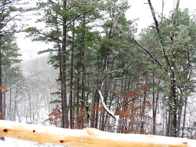 Yurts (Eureka Springs, Arkansas, United States)