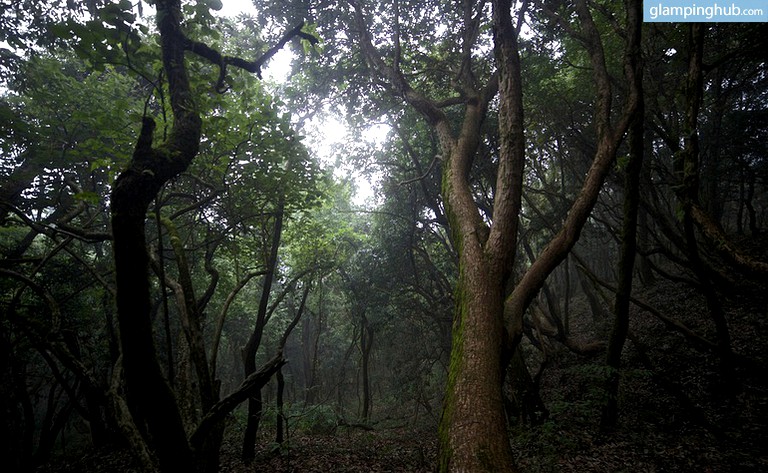 Nature Lodges (Gurgaon, Haryana, India)