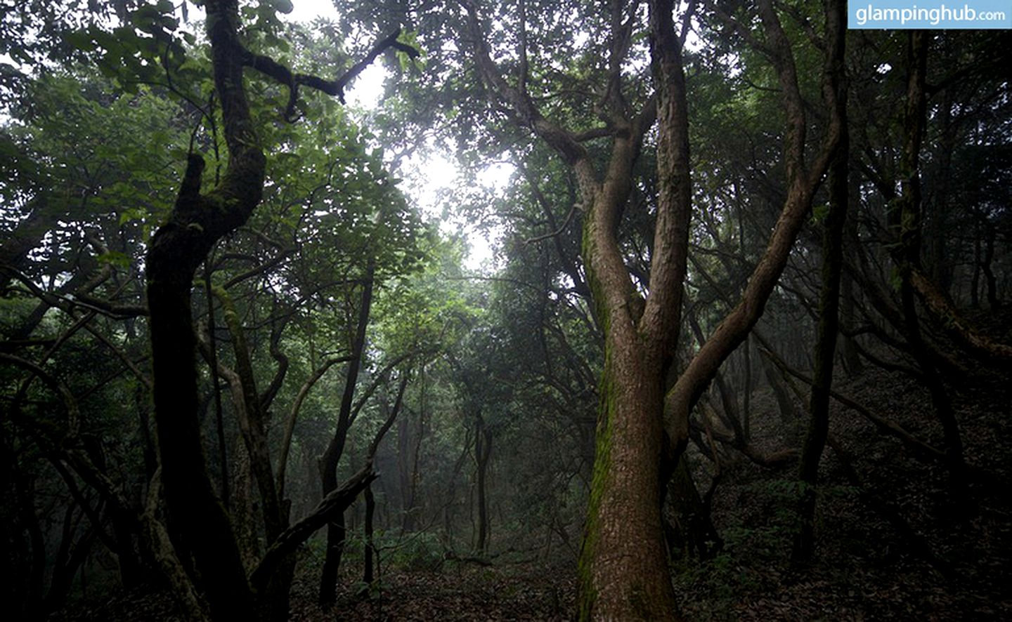 Bedside Mountain Vistas from Luxury Suite for Two in the Himalayas, India