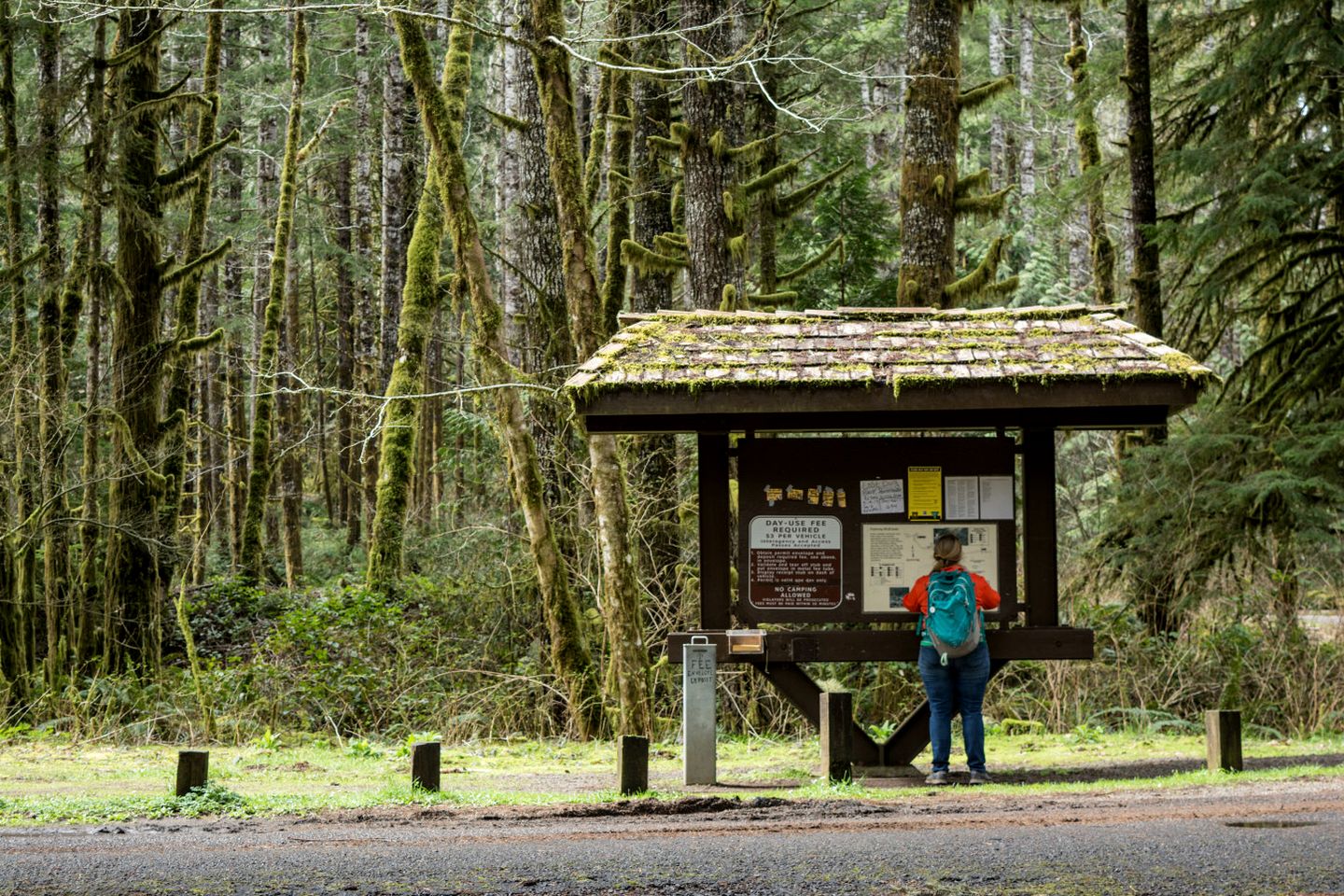 Peaceful Lakefront Retreat with Sauna Near Bellingham & Mount Vernon in Sedro-Woolley, Washington