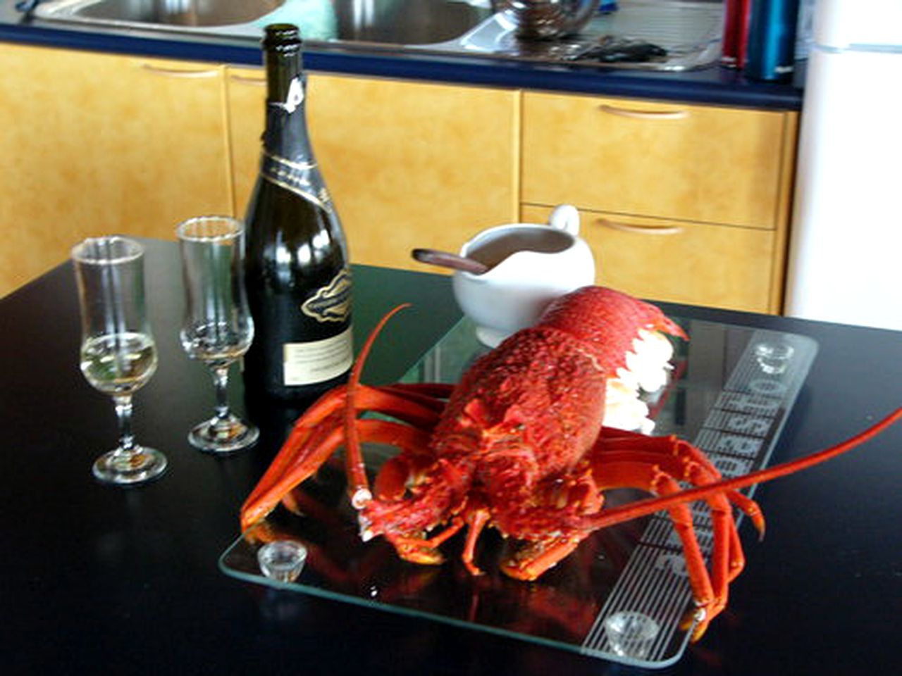 Secluded Cottage Rental near Palana Beach on Flinders Island, Tasmania