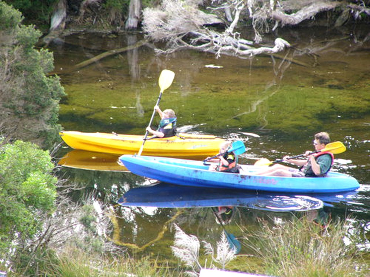 Secluded Cottage Rental near Palana Beach on Flinders Island, Tasmania