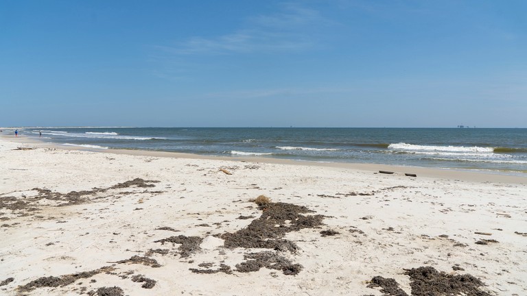 Beach Houses (United States of America, Dauphin Island, Alabama)