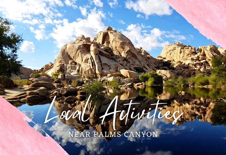 Vacation Rentals (United States of America, Twentynine Palms, California)