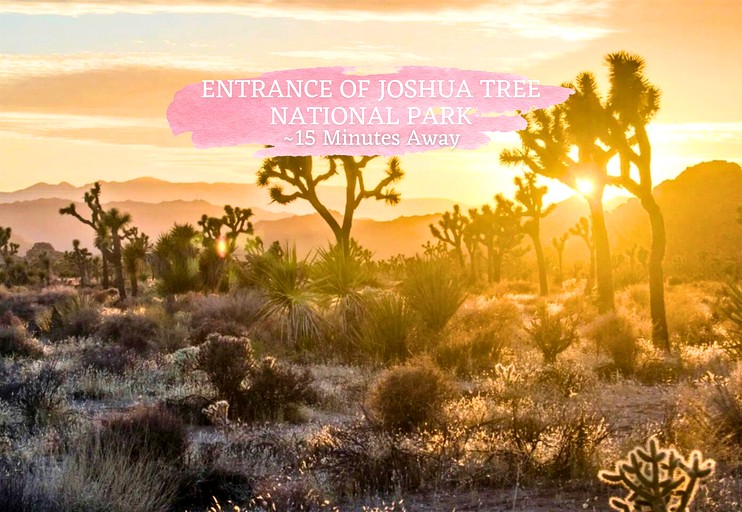 Vacation Rentals (United States of America, Twentynine Palms, California)