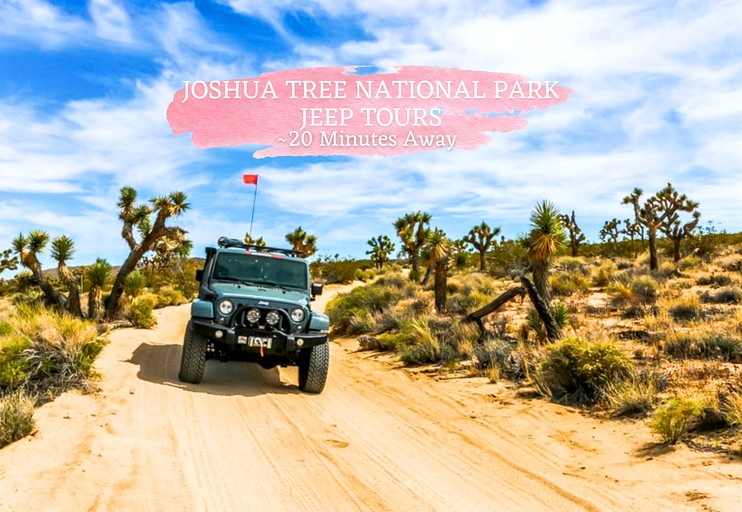 Vacation Rentals (United States of America, Twentynine Palms, California)