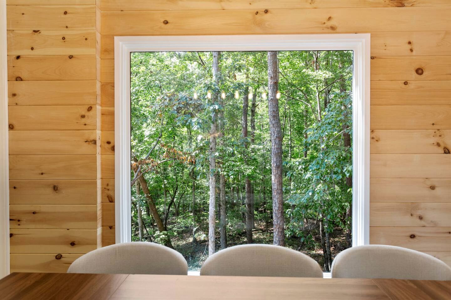 Stylish Lakehouse with Black-and-White Modern Design near Lake Hartwell, Clemson SC