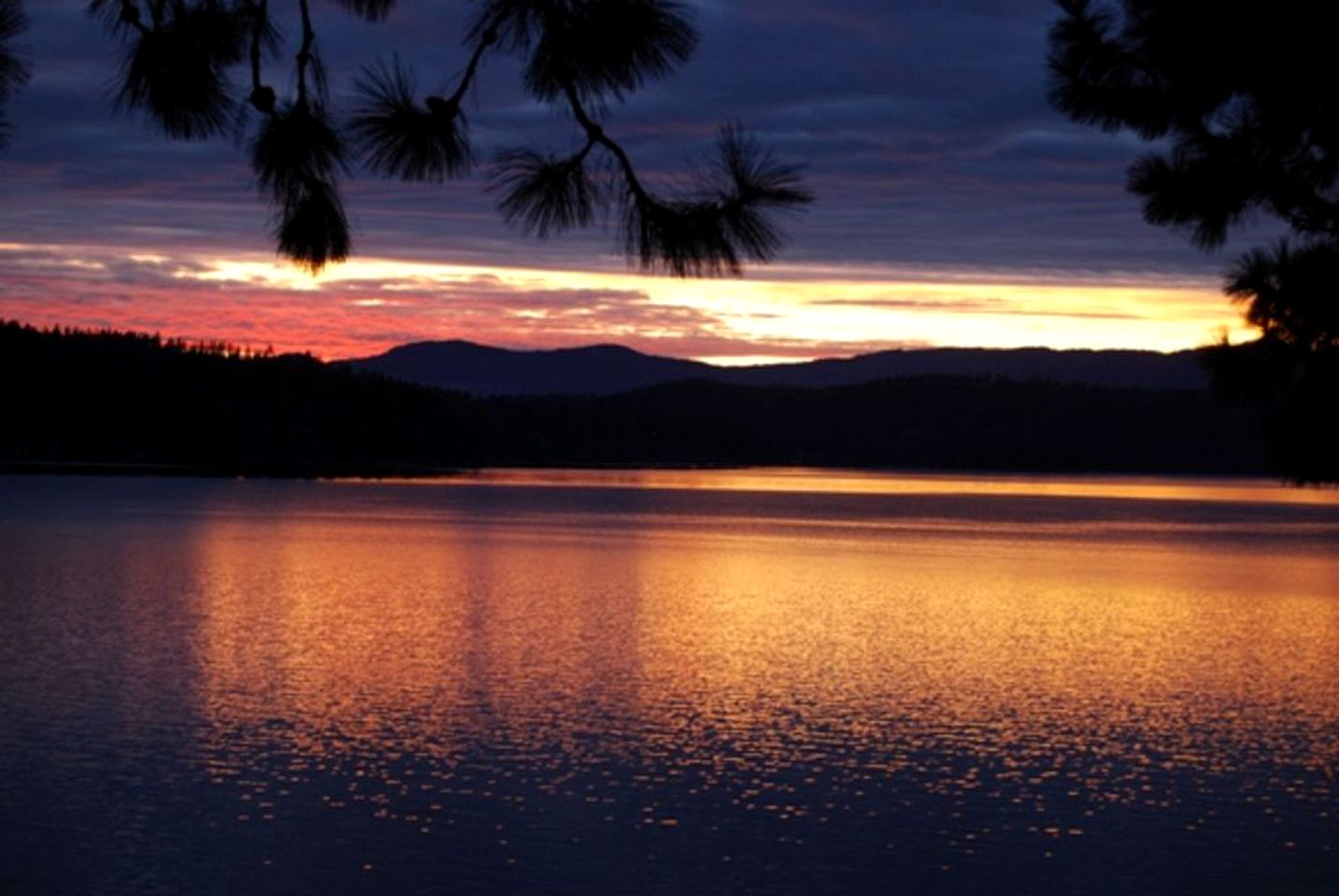 Cozy Lake View Woodland Cabin Rental in Coeur d'Alene, Idaho