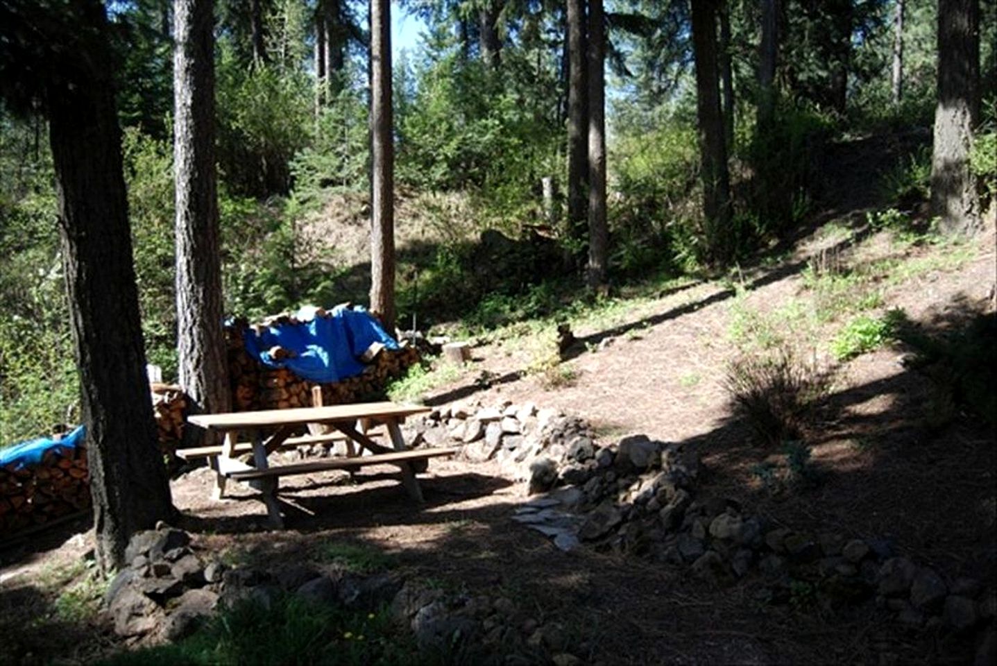 Cozy Lake View Woodland Cabin Rental in Coeur d'Alene, Idaho