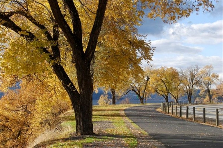 Cabins (Coeur d'Alene, Idaho, United States)