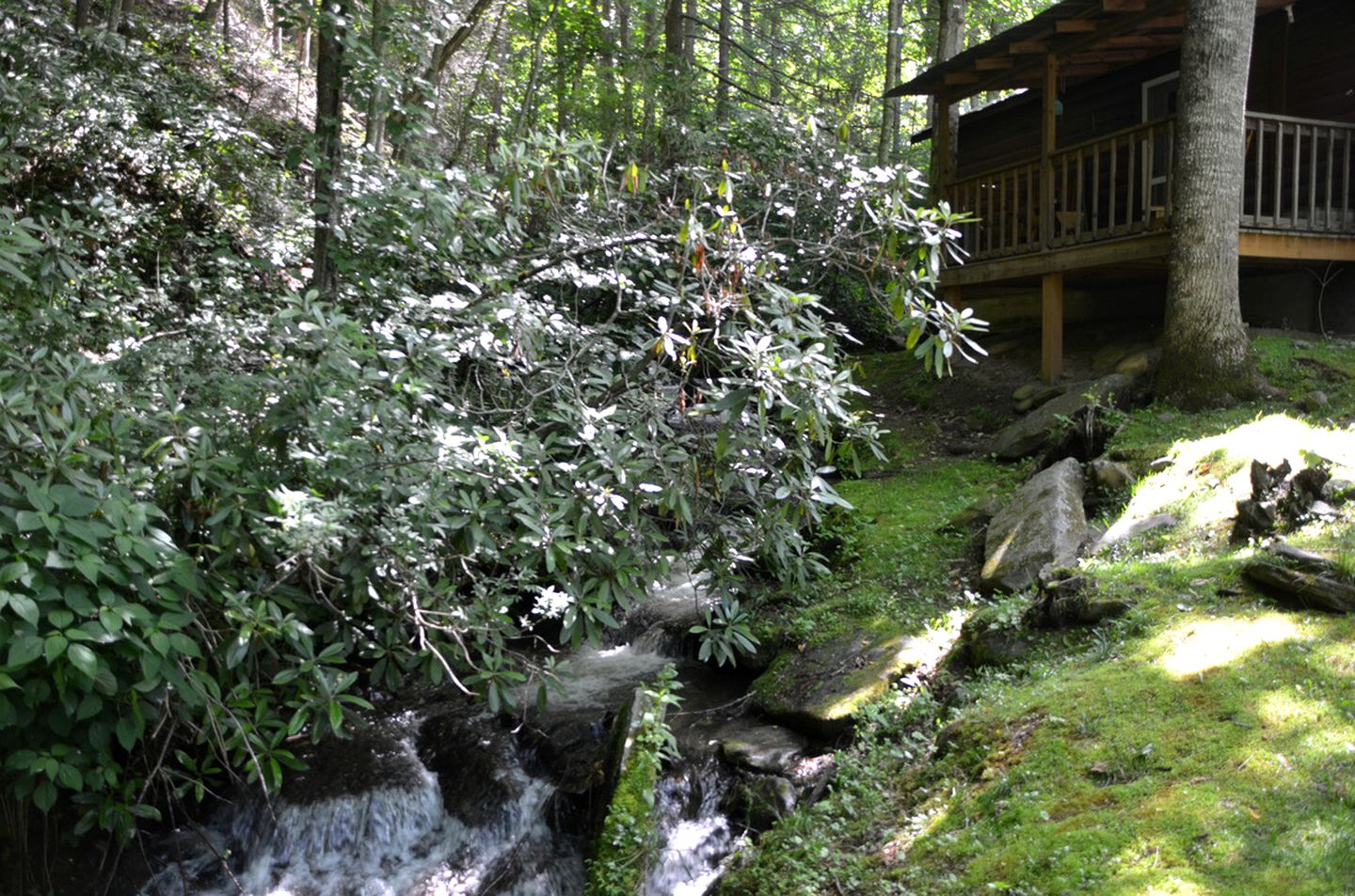 Romantic Log Cabin in Wooded Setting near Cherokee, North Carolina