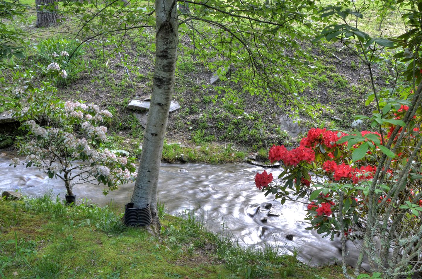 Secluded Log Cabin Nestled near the Smoky Mountains, North Carolina
