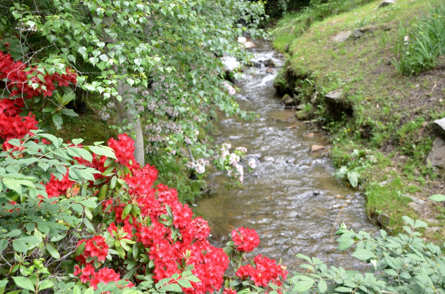 Cozy Log Cabin for Getaway in the Mountains near Cherokee, North Carolina