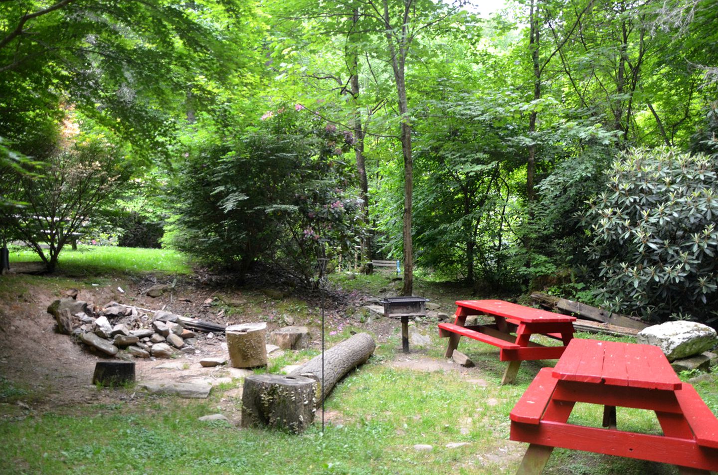 Cozy Log Cabin for Getaway in the Mountains near Cherokee, North Carolina
